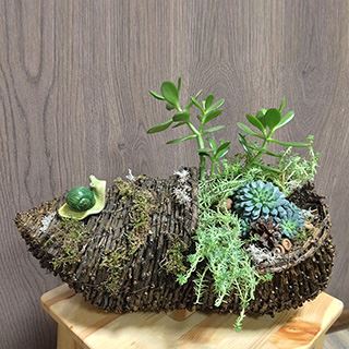 мастер класс по созданию композиции из комнатных растений