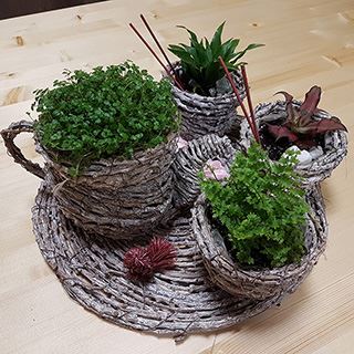 мастер класс по созданию флорариума