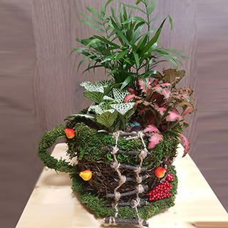 мастер класс по созданию композиции из комнатных растений