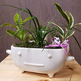 мастер класс по созданию композиции из комнатных растений