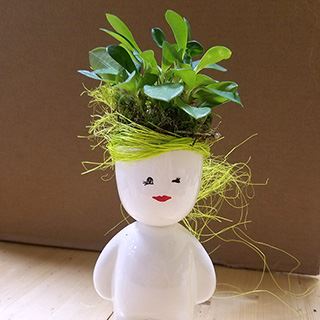мастер класс по созданию композиции из комнатных растений